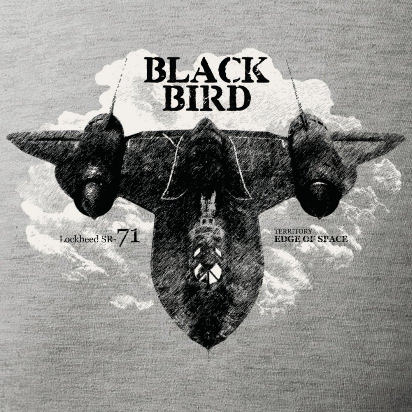 T-shirt med Lockheed SR-71 BLACKBIRD