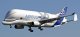 Großes Transportflugzeug Airbus BelugaXL