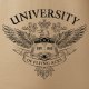 UNIVERSITATEA de ași zburători. Nou T-shirt design