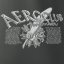 Tricou cu motor radial AEROCLUB - Dimensiunea: S